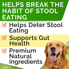 STRELLALAB No Poo Treats chews on display emphasize tasty, mild formula for dogs.