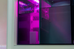 SubstrateSource Pod Hotel refugium setup demonstrates sump-ready placement.