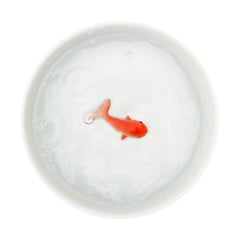 Suck UK cat bowl showcases hand-painted goldfish for engaging feline interest.