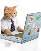 Suck UK Cat Laptop with fluffy mouse engages kittens during playtime