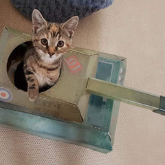 Suck UK Tank Cat House cat inside tank for cozy hiding and ambush play.