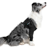 Suitical Recovery Double Sleeve front leg protection on a dog for post-surgery healing