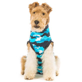 Suitical Recovery Suit in blue camouflage worn by dog for post-surgery protection and comfort