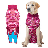 Suitical Recovery Suit on a dog wearing pink camouflage for post-surgery protection.