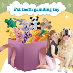 Sumind dog rope toy duck for gnawing and fetch