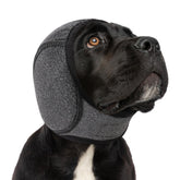 SUNFURA Dog Calming Hoodie worn by a dog model for soothing calm during stress.