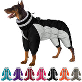 SUNFURA full body coat image shows warm winter coverage for large dogs.