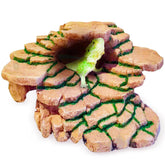 SunGrow Gecko Rock Hide Front View — textured rock shelter for secure hiding