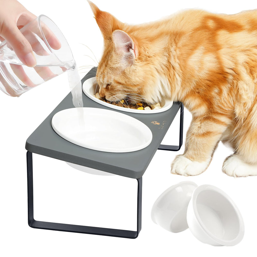 Sunhoo elevated cat bowls on a wooden stand promote comfortable eating posture.