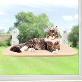 Sunhoo hamaca-ventana-gato-plegable ofrece descanso cómodo con vista al exterior.