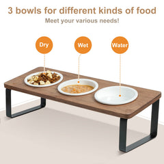 Sunhoo three-bowl-feeder angled slots for organized meals.