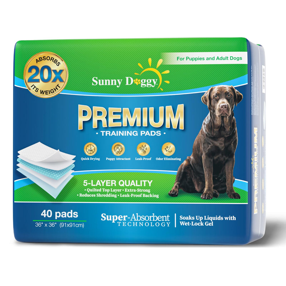 Sunny Doggy 36x36 pee pad pack laid flat for quick housebreaking and mess containment.