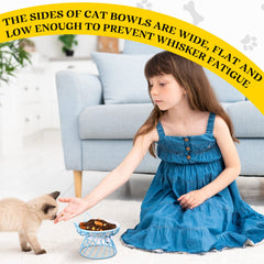 Sunnyray cat feeder anti-vomit positioning promotes cleaner mealtimes.