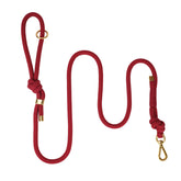 Sunraymascota 5ft no-pull leash full length for everyday walks.