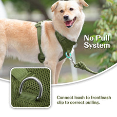 Sunraymascota adjustable sliders provide secure fit for growing dogs during adventures.
