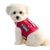 Sunraymascota dog harness with overhead-free design for quick, stress-free on-off.