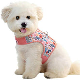 Sunraymascota small pink floral harness front view showing fit and comfort