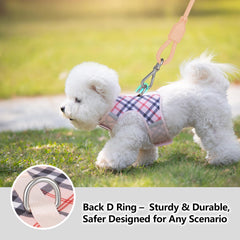 Sunraymascota easy-on-off wrap harness demonstrates step-free use