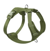 Sunraymascota no-pull harness with front D-ring for training control.