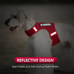 Sunraymascota harness showing interchangeable patches for Classic and Vintage styles.