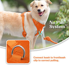 Sunraymascota No Pull Harness back D-ring for casual walks