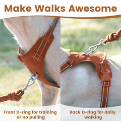 Sunraymascota No Pull Harness back D-ring with secure leash attachment for daily adventures.