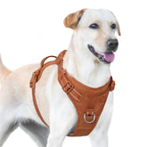 Sunraymascota No Pull Harness neck-snap for easy dressing and secure fit.