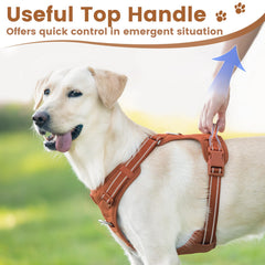 Sunraymascota No Pull Harness top-handle aids control in crowded places.