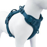 Sunraymascota no-pull front-clip harness for calmer walks and safe control