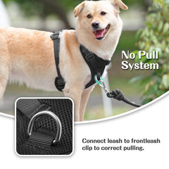 Sunraymascota No Pull Harness back D-ring for casual walks with balanced pressure.