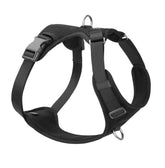 Sunraymascota No Pull Harness front D-ring for training and comfort on walks.