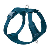 Sunraymascota no-pull harness front D-ring for controlled training and reduced pulling.