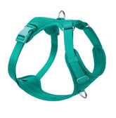 Sunraymascota no-pull harness front D-ring for controlled training sessions