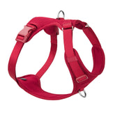 Sunraymascota No Pull Harness front D-ring for controlled training and calm walking