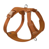 Sunraymascota no-pull harness front view with breathable mesh for comfortable walks.