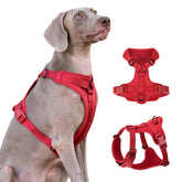 Sunraymascota no-pull harness lycra-fit for flexible daily walks