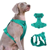 Sunraymascota No Pull Harness Lycra Flex shows stretch for comfortable daily walks