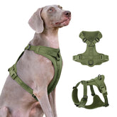 Sunraymascota no pull harness-lycra offers flexible, second-skin comfort for daily walks