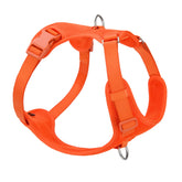 Sunraymascota no pull harness front clip improves training and control during sessions.