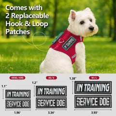 Sunraymascota puppy harness in lightweight air mesh for breathable comfort on walks.
