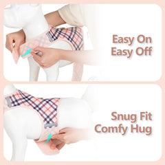 Sunraymascota reflective strips enhance visibility for evening strolls