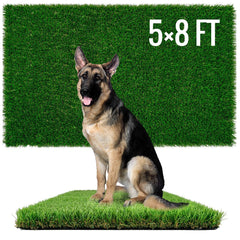 Sunturf Dog Pee Grass close-up highlights soft-touch turf for gentle training.