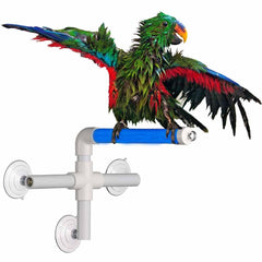 Super Bird Creations SB126 fold-away shower window perch securely attached to glass for sunlit enrichment.