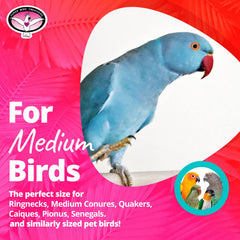 Super Bird Creations SB324 colorful bungee toy assembly demonstrates easy setup