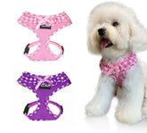 Arnés para perro SuperBuddy de malla suave, cómodo y transpirable para paseos.