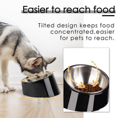 Super Design slanted bowl side angle demonstrates elevated neck-friendly design.