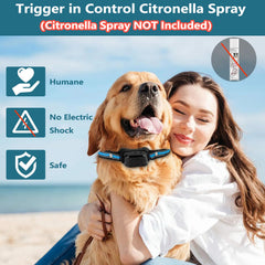 SUPERNIGHT Citronella bark collar blue remote control demo for versatile training.