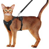 Supet arnés ajustable tipo chaleco para gatos, cómodo y seguro.