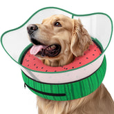 Supet raised inflatable dog cone in donut shape provides gentle protection during recovery.