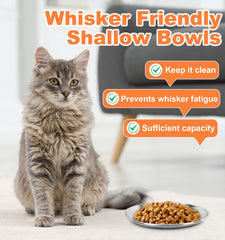 Supet whisker-friendly cat plates flat wide dish in stainless steel for durability.